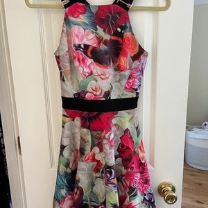Ted Baker Floral Dress 0